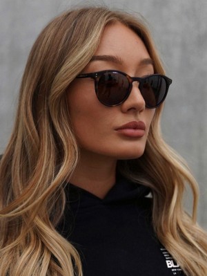 Blakely 22.1 Sunglasses Havana Tortoiseshell | RDUFQNK-83