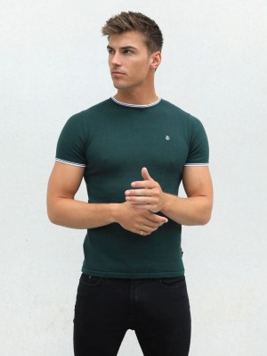 Blakely Andora T-Shirt Grün | PEQIAOL-35