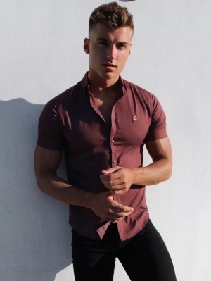 Blakely Brisbane Short Sleeve Shirt Bordeaux | EIPFLJU-19