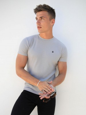 Blakely Eli T-Shirt Grau | MLVXIKT-30