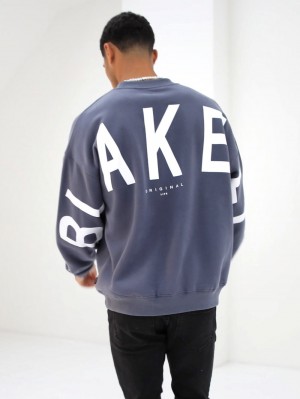 Blakely Idris Oversized Jumper Blau | NUDLBOQ-18