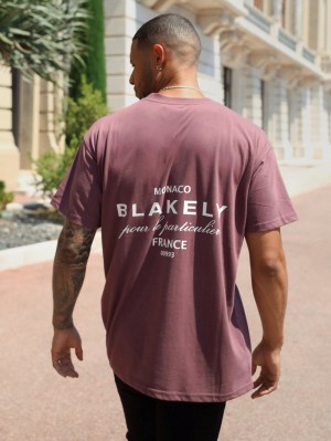 Blakely Monaco Relaxed T-Shirt Bordeaux | WRYZMBD-51