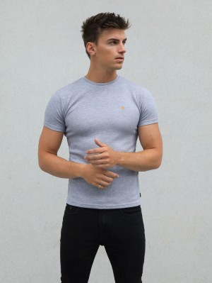 Blakely Recco T-Shirt Grau | WYACZKX-94