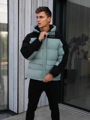 Blakely Tampa Puffer Coat Grün | WFJEKLH-47