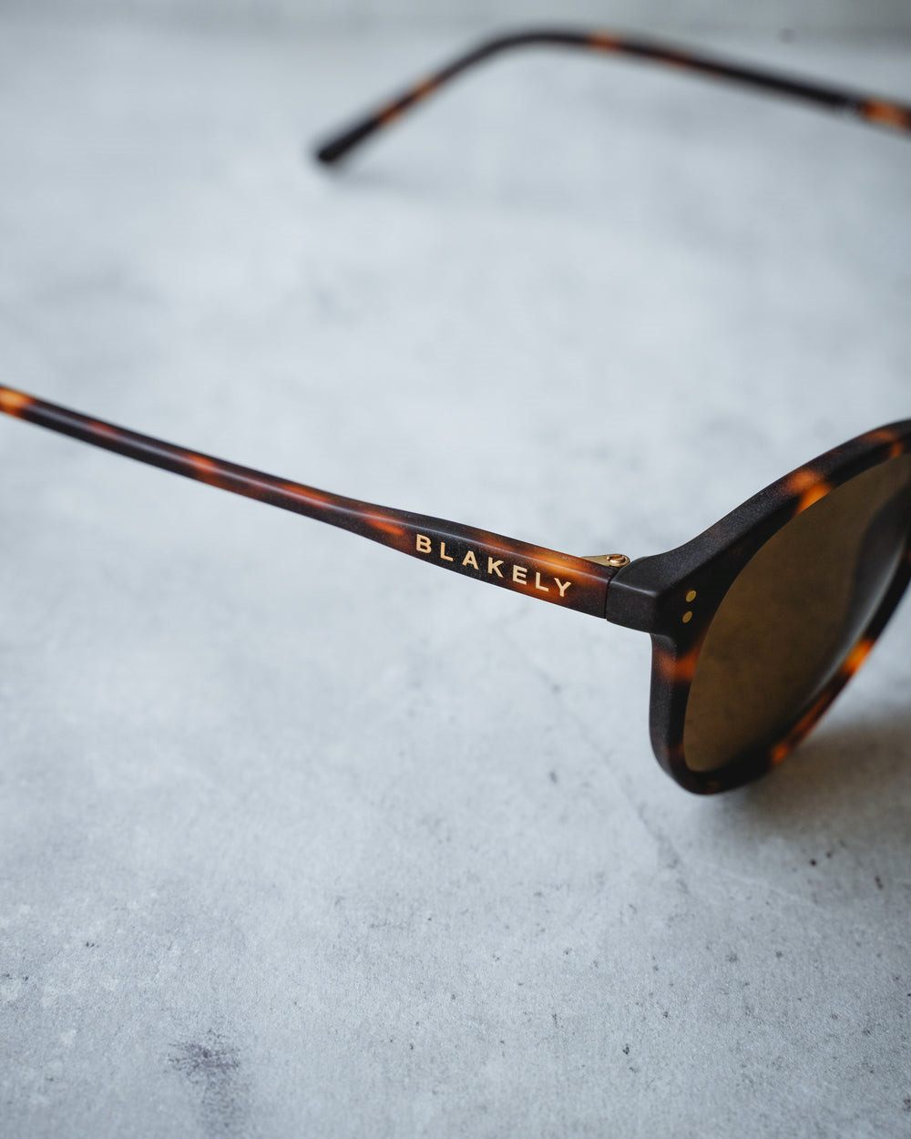 Blakely 22.1 Sunglasses Havana Tortoiseshell | RDUFQNK-83
